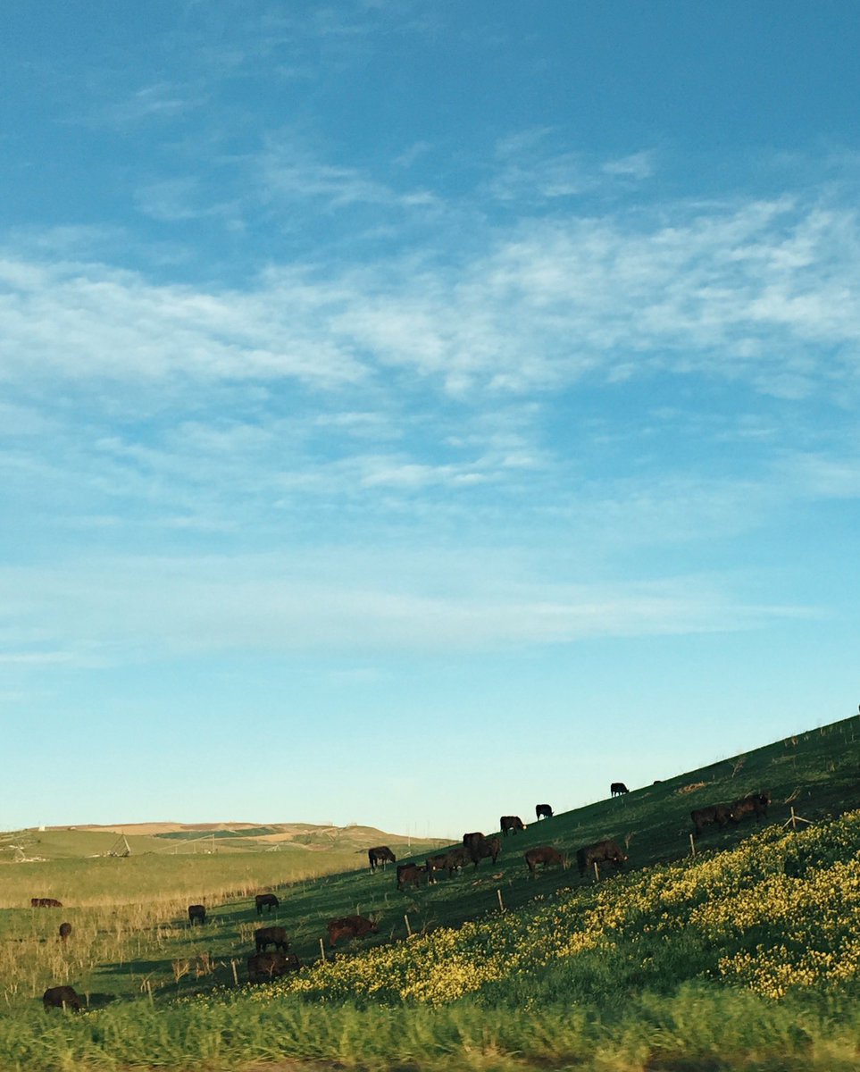 iustinlee's tweet image. Interstate 580: Feb 2016 vs. Sep 2020