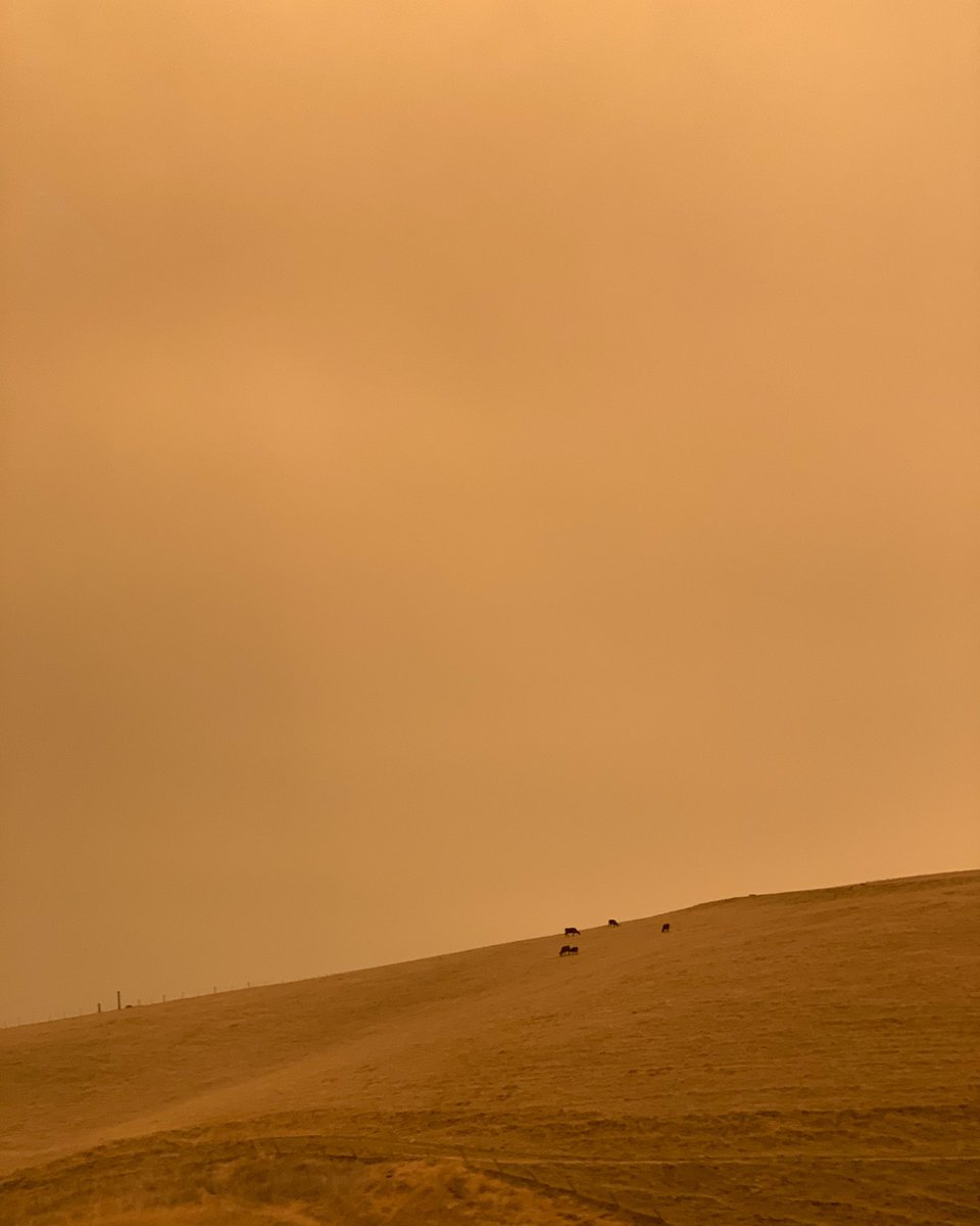 iustinlee's tweet image. Interstate 580: Feb 2016 vs. Sep 2020