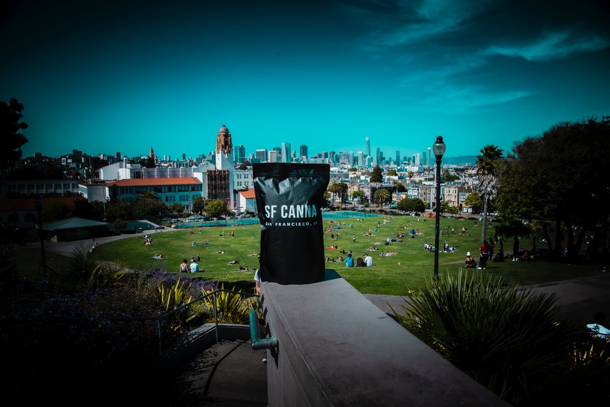 Persevere like a seed; even when they try and bury you, flourish. -Matshona Dhilwayo #SFCanna #CityGrown #WeShouldSmoke #CannabisLifestyle #urbancultivator #cannabiscommunity #bayarea #sfcanna415 #suckafreecity #dolorespark