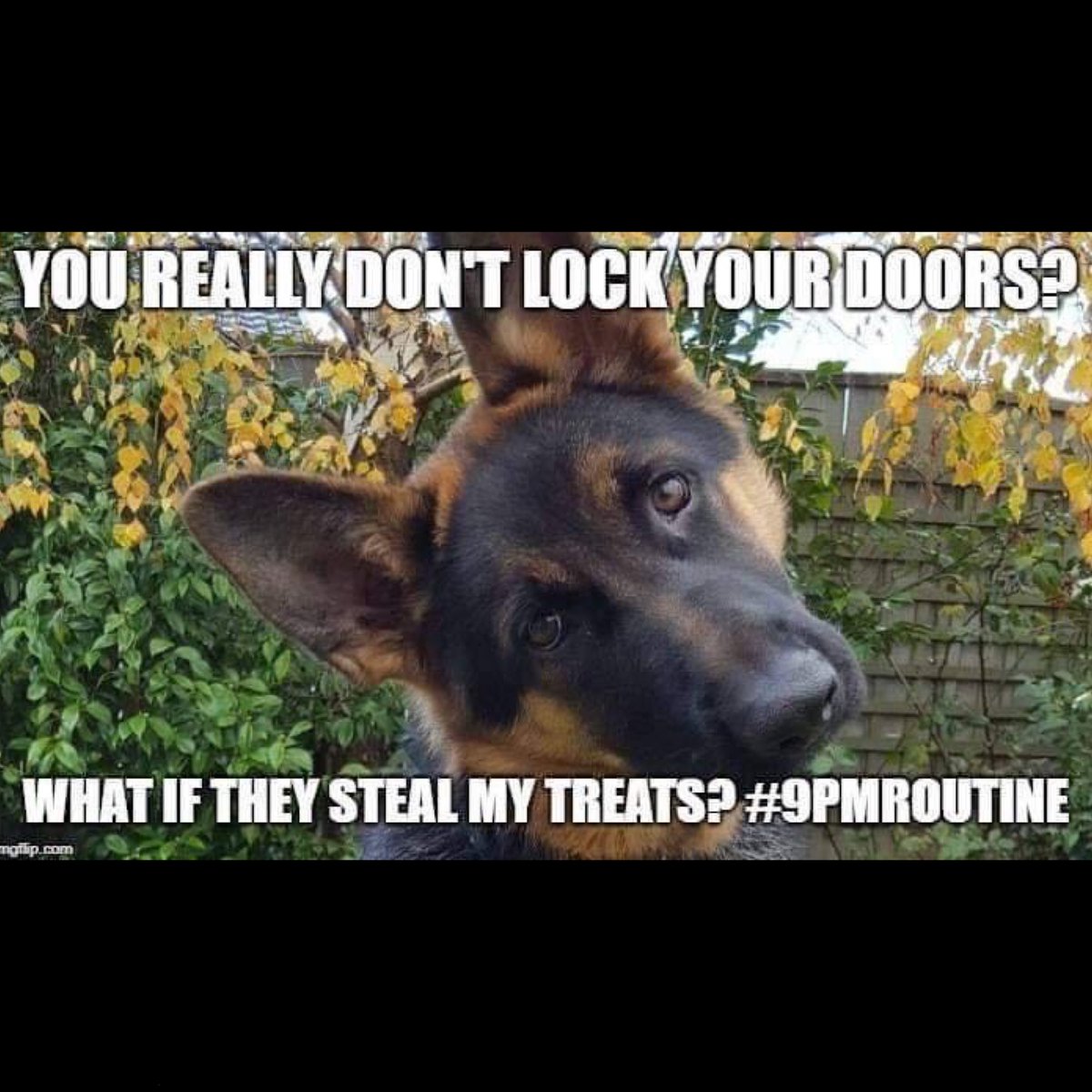 LAPDHollenbeck's tweet photo. Hollenbeck Community it’s time for the 9PM routine..
✅ Remove valuables from vehicles
✅ Lock car doors
✅ Turn on exterior lighting
✅ Secure your home
#LAPD #CommunityAndPoliceworkingtogether #SharedResponsibility
#CaptainRickStabile #CaptainSoniaMonico https://t.co/NOV5yhpJSA