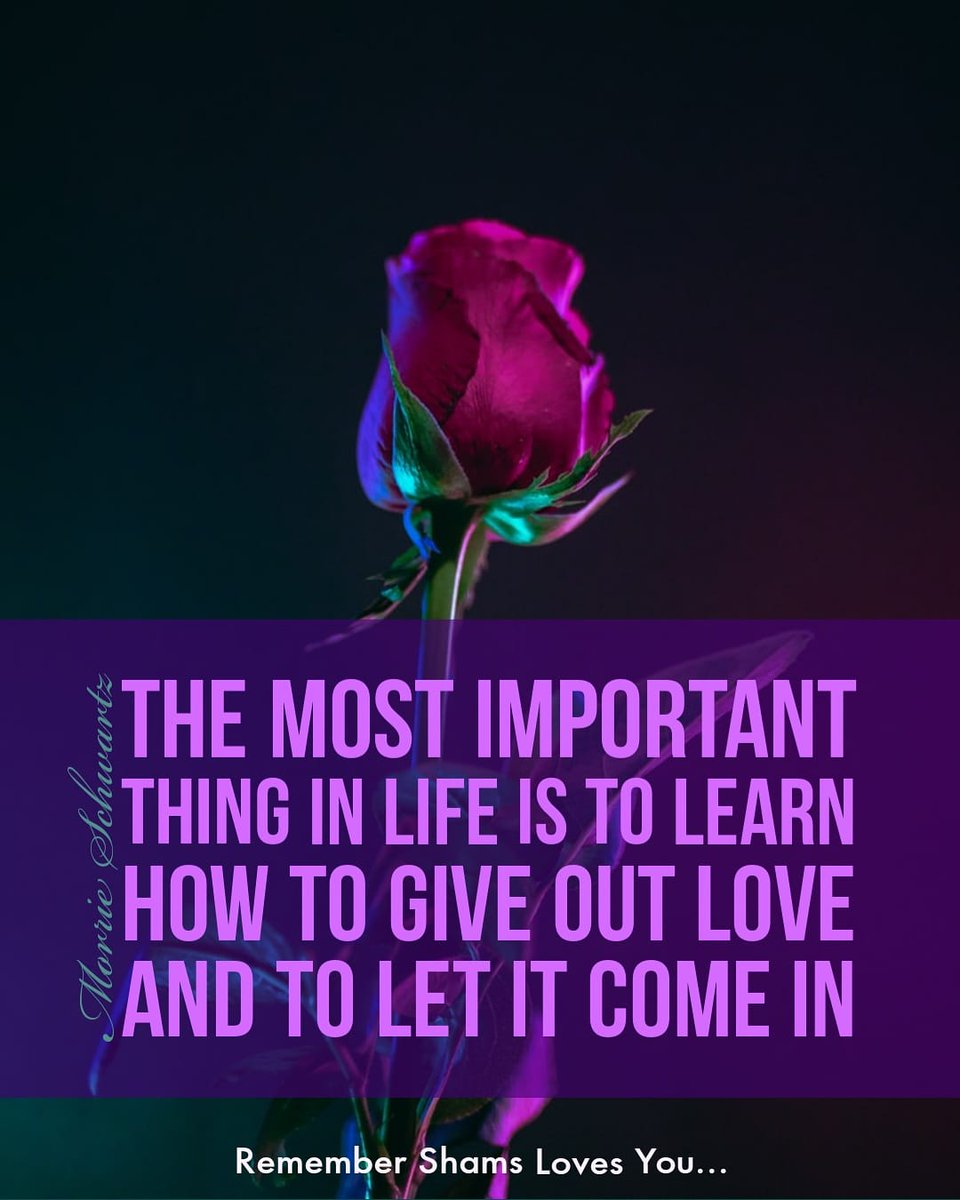 NoorLovesYou's tweet photo. “The most important thing in life is to learn how to give out love, and to let it come in.” — Morrie Schwartz

#important #importantthingsinlife #learnhowtolove #howtolove #letlovecomein #morrieschwartz #morrieschwartzquotes #lovequotes #loveshams🌞 #shamsalfarooqi #shamslovesyou https://t.co/7pz29lsCCl