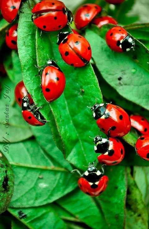 ���� ���� ������ �� ���� ������