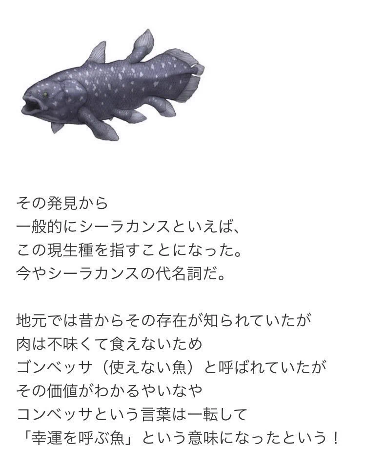 @MASA_hgc_211 これ定期 