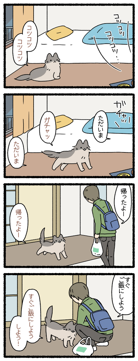 ねこようかい やまびこ
#ねこようかい 