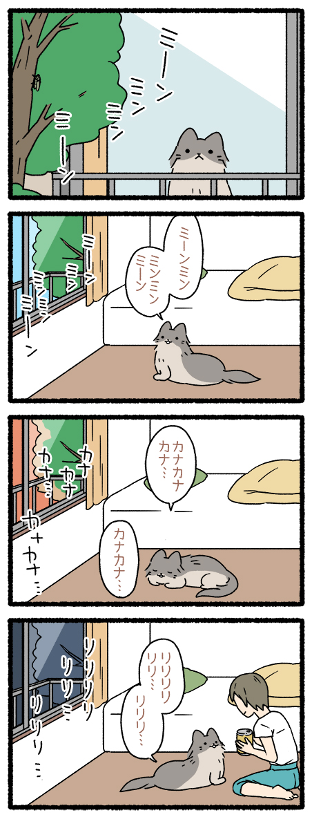 ねこようかい やまびこ
#ねこようかい 