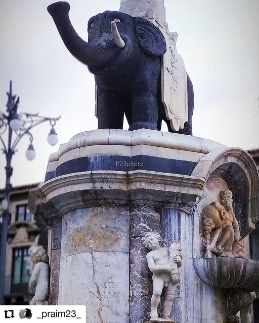 CataniaUpTw's tweet photo. ☀ Il #Liotru, simbolo di Catania dal 1239, ci dà il suo #buongiorno. 🐘 😊

📍 Piazza Duomo (Catania)
📸 Foto di Giuseppe Procida

#CataniaUp #Sicilia #Sicily #photooftheday https://t.co/dp7qwk54kG
