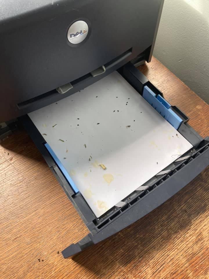 Babcock0118's tweet image. #ReopenSafely @GovRaimondo @AInfanteGreen @HarrisonPeters @Renny920 @PTU958 @pvdschools Hate to see what they looked like before being deep cleaned! How can you keep saying we are ready? All of you “Knock it off!” Stop the lies! #togther4PVD