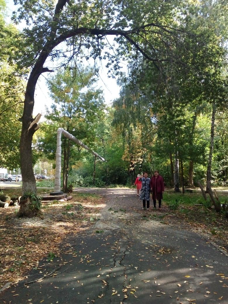 Улица Сергея Лазо, 35. 
Аварийная ветка дерева, которая так долго вызывала опасение у местных жителей, наконец-то спилена✊
#кпрф #перемены #мехзавод #управленческий #выборы