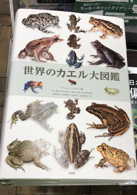書泉グランデ | 神保町 on X: 書泉グランデ | 神保町 on X: