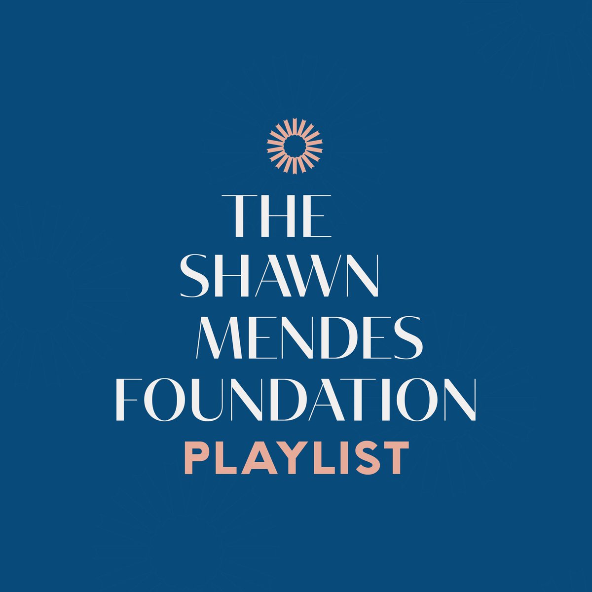 Curated by inspiring youth changemakers using their voices to highlight issues important to them, & we'll be donating to causes of their choosing. We urge you all to use your voice & register to vote. Listen now & register at playlist.shawnmendesfoundation.org or by texting 'SMF' to 954-954