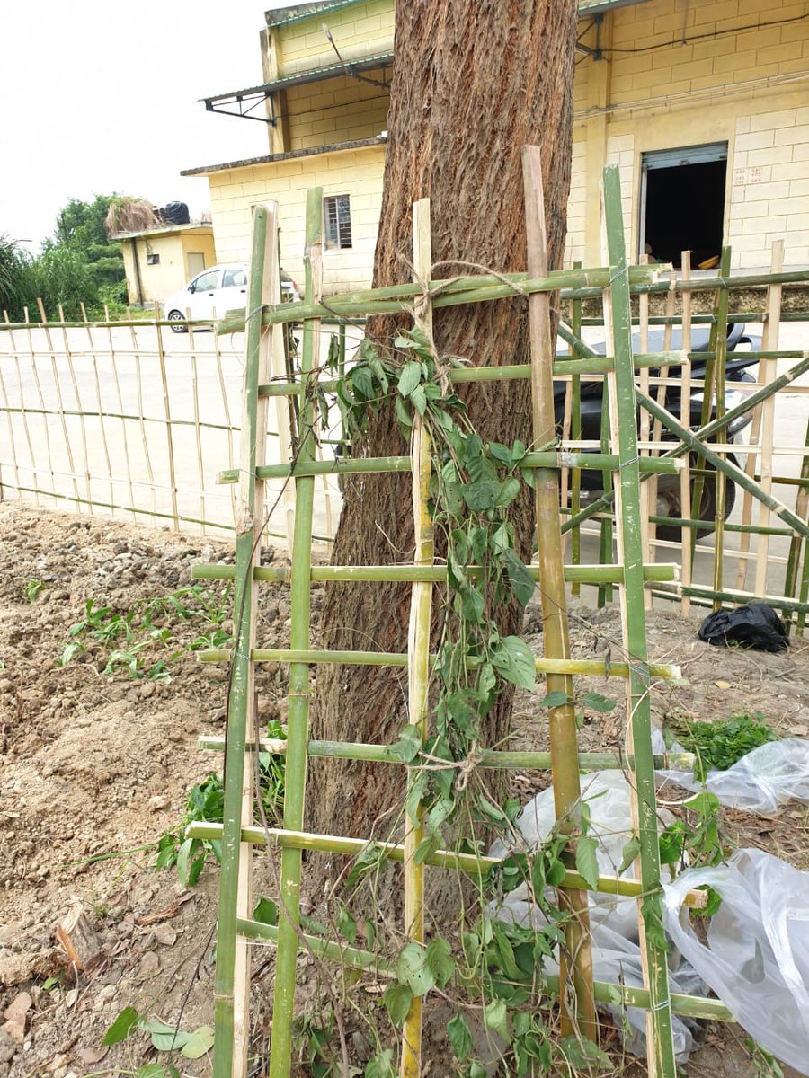 Food Corporation of India, Zonal Office(NE) tweet media