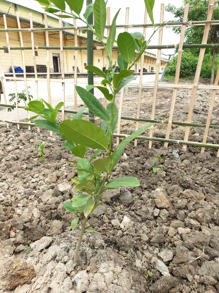 Food Corporation of India, Zonal Office(NE) tweet media