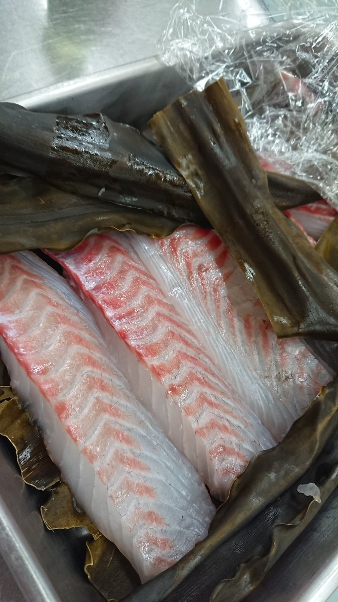 鯛の寿命は年から40年