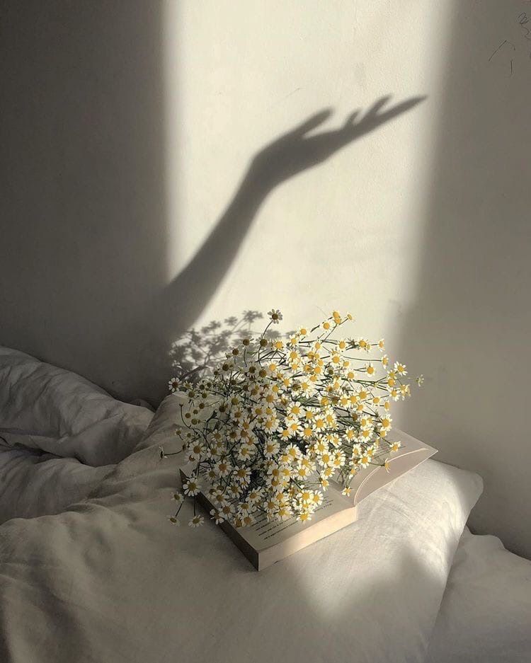 minimalism tweet media