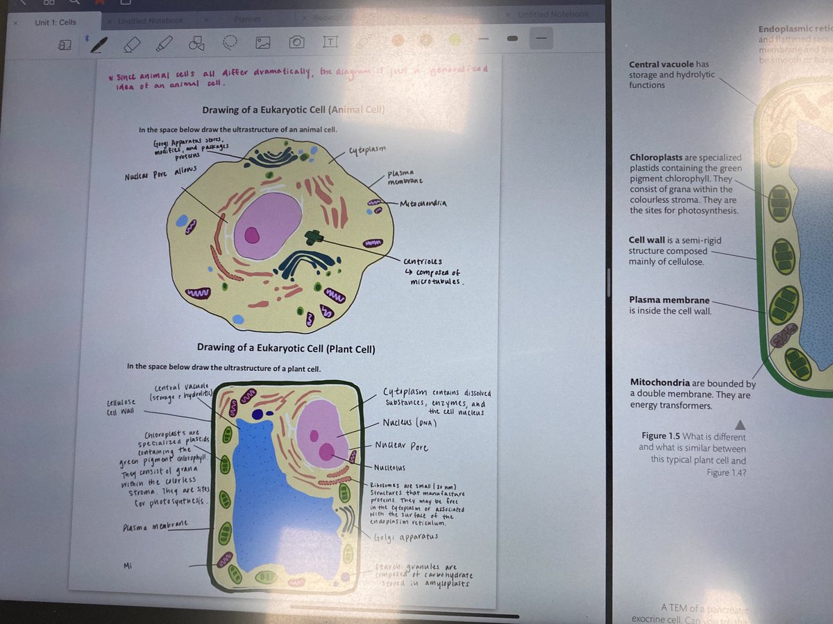 Had so much fun subbing for  IB Biology classes today. Gave them an overview of Archaea thanks to <a href="/hannjbrown/">Hannah Brown 🧂🦠🔬</a> taking their knowledge of prokaryotes and eukaryotes a branch further! 🔬#learnISB