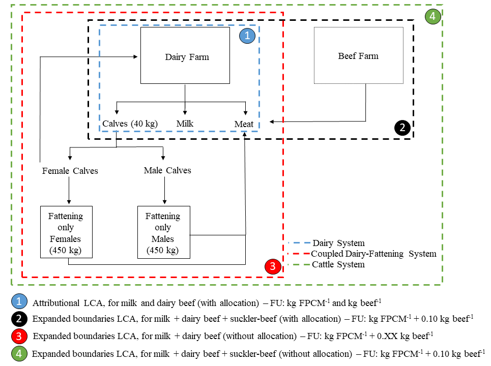 Now we considered the "full system": calves going to a beef farm, being fattened and producing beef. We expanded the boundaries (the red boundary) and accounted for the environmental impact generated by these animals in the beef farm (and here is where we used the beef footprint)