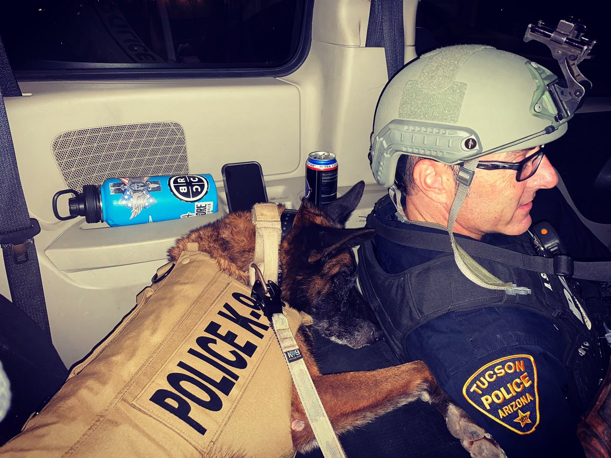 CoachPedersenSC's tweet photo. K9 Kiro catching a quick nap while we wait to arrest an armed fugitive. We’re not sure how he can be so relaxed...💤 🚔 🐕
-
#police #policek9sofinstagram #policek9 #policedogsofinstagram #policedogs #swatteam #tucson #tucsonaz #tucsonaz🌵 https://t.co/hmSJwHFWxF