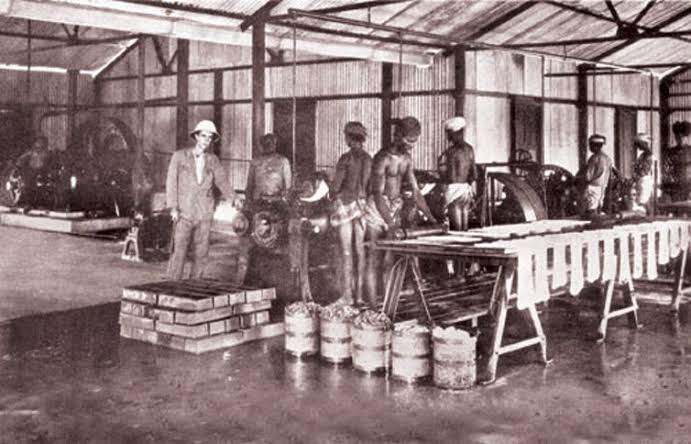 By 1900, though, more Europeans moved into the African interior to extract raw materials such as rubber, palm oil, gold, copper, and diamonds. These natural resources made Africa a vital resource for the European economy.