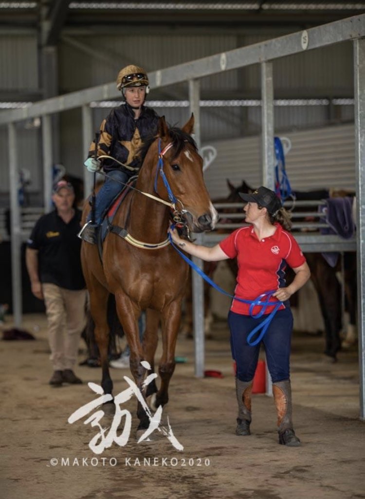 PaulaTrenwith's tweet image. ⭐️Group 1 winner Behemoth at the jumpouts today #Memsie #G1 @racingMBridge @DJollyRacing @KaylaCrowther2 @Racing @SkyRacingAU  all photo copyrights - Rising Sun Photography- Makoto Kaneko