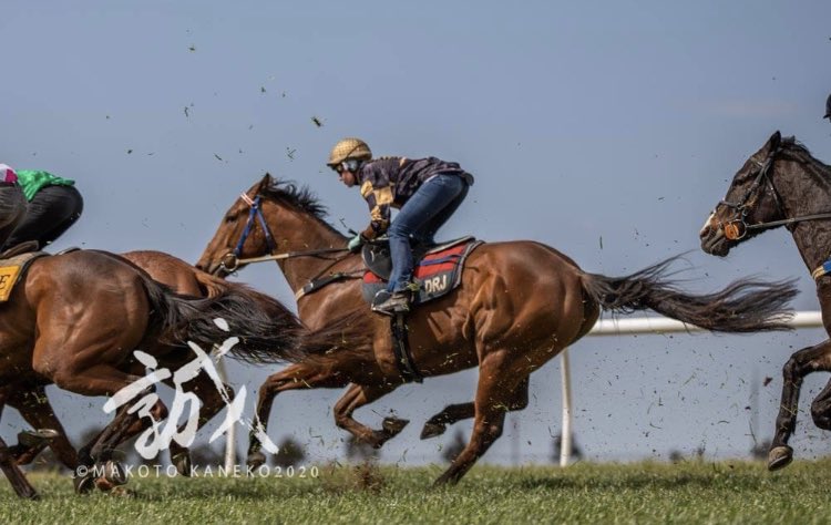 PaulaTrenwith's tweet image. ⭐️Group 1 winner Behemoth at the jumpouts today #Memsie #G1 @racingMBridge @DJollyRacing @KaylaCrowther2 @Racing @SkyRacingAU  all photo copyrights - Rising Sun Photography- Makoto Kaneko