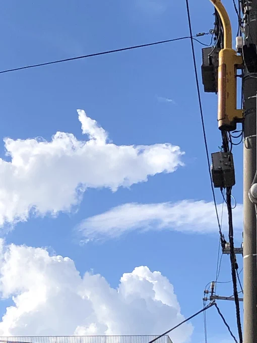 いい雲でした☁️ 