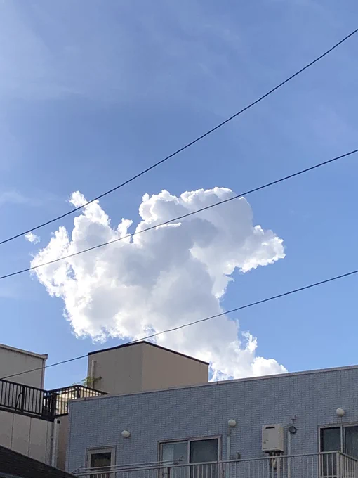 いい雲でした☁️ 