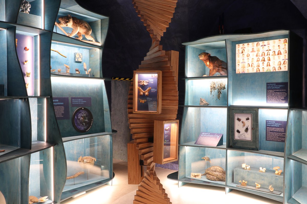 CitadelBesancon's tweet photo. Découvrez la biodiversité locale et internationale en famille grâce au #Naturalium de la #CitadelleDeBesançon 🐰💚 #biodiversité #museum https://t.co/soywtlfG6C