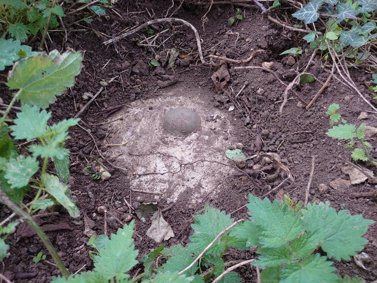 PaulMagan2's tweet image. Milton Park, Peterborough Trig Point (Bolt). 32.468m above Sea Level. Grid reference: TL 13656 99298. @OrdnanceSurvey @Dennis_Maps @FascinatingFens Also a bunker thing at a nearby #OSBenchmark coordinate.