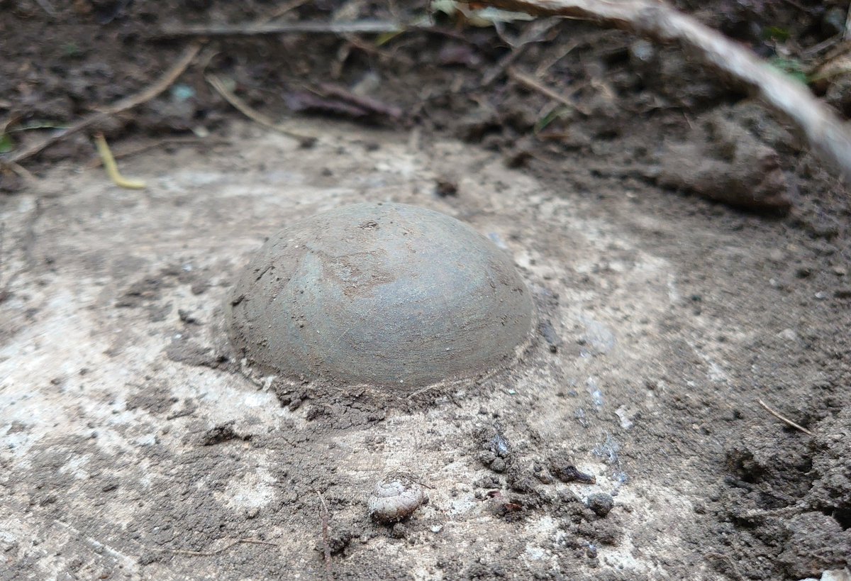 PaulMagan2's tweet image. Milton Park, Peterborough Trig Point (Bolt). 32.468m above Sea Level. Grid reference: TL 13656 99298. @OrdnanceSurvey @Dennis_Maps @FascinatingFens Also a bunker thing at a nearby #OSBenchmark coordinate.