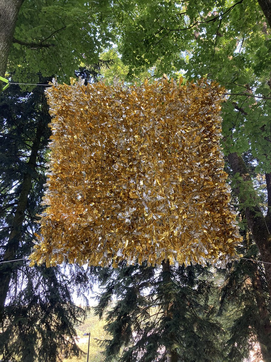 Sonja_Schachi's tweet image. Keplers Garden @jkulinz @ArsElectronica @wdorninger Klangfahnen - Sounding Linz #soundofklangwolke #arselectronica2020 #Autumn #leaves