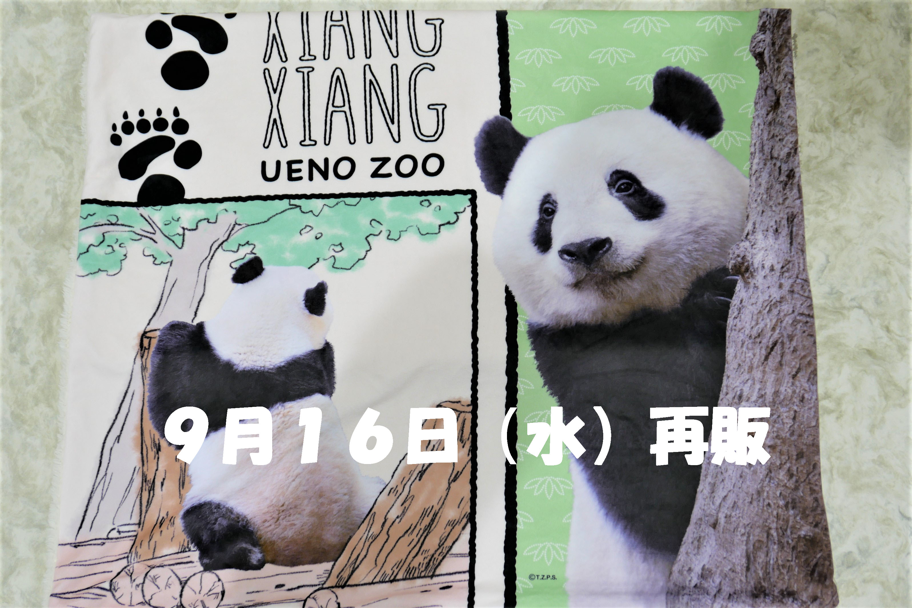 人気ブランド 上野動物園［公式］  X: على 布団・毛布