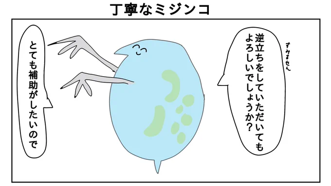 丁寧なミジンコ 