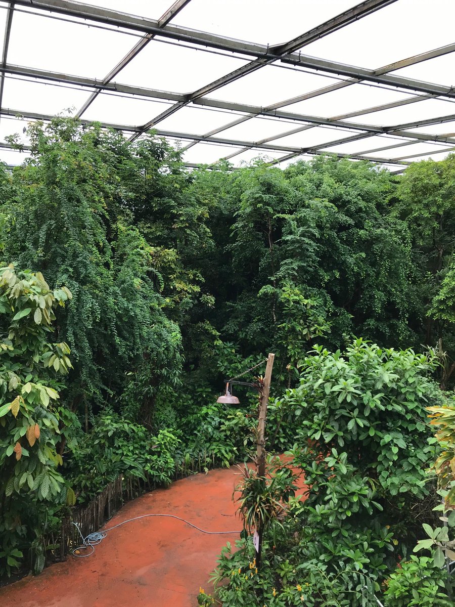 JPCKuiper's tweet photo. Vandaag inclusieve organisatie event (@ Safari Meeting Centre in Arnhem, Gelderland) https://t.co/mPoH3hWkdM https://t.co/nWJK35wHbq