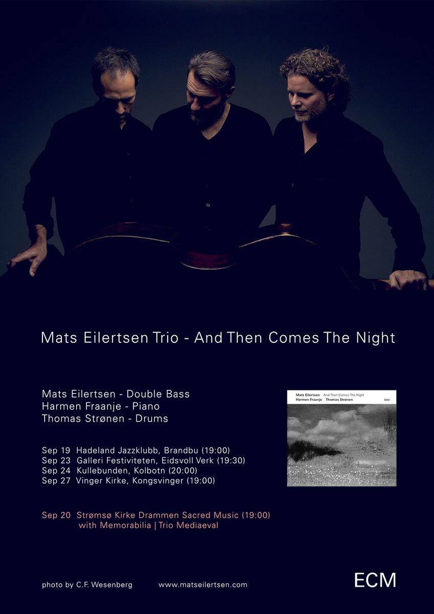 The Mats Eilertsen trio playing again. What a joy..