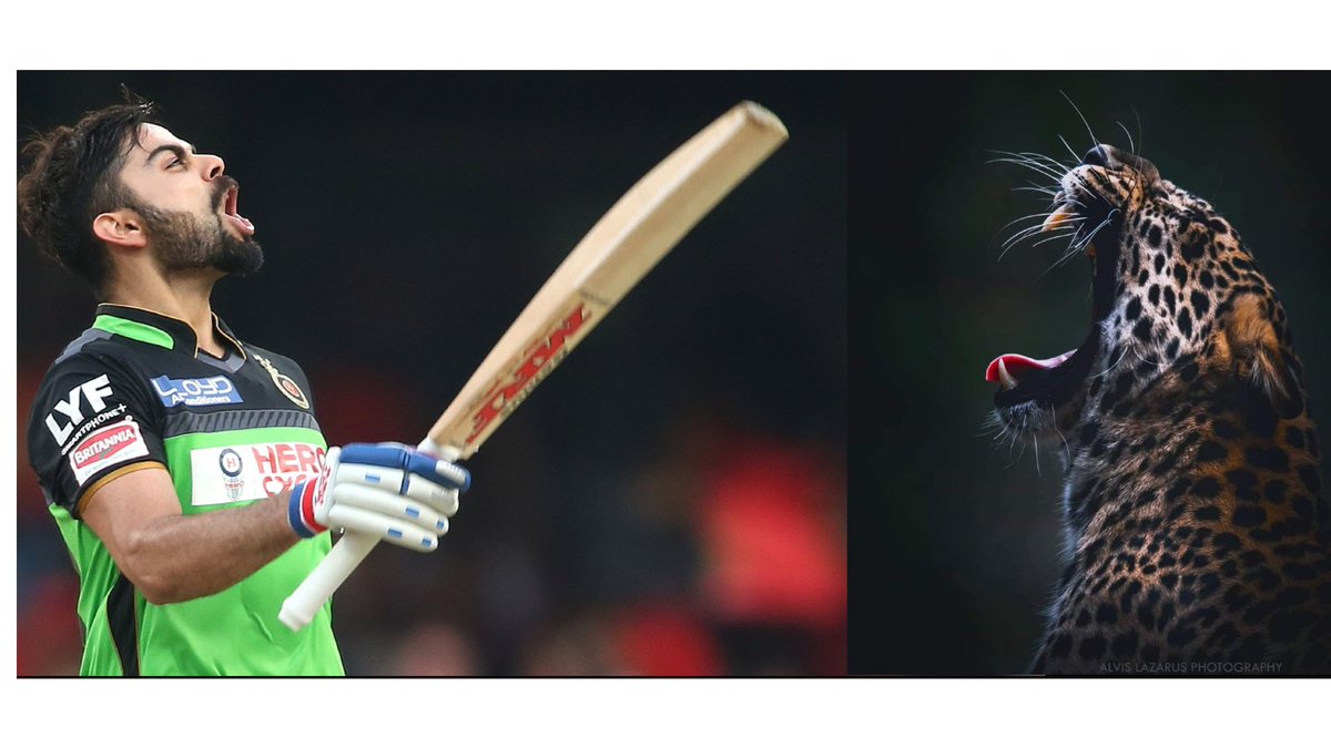 telugu_sports's tweet image. Spot the differences! బ్యాట్ లేదు అంతే మిగతాది అంతా సేమ్ టు సేమ్!  ఆహ్:: Both are #Runmachines 
@imVkohli @RCBTeluguArmy @TrendRCB @Virat_Official @Viratkohli18f_c #ViratKohli #PlayBold #SportsTelugu