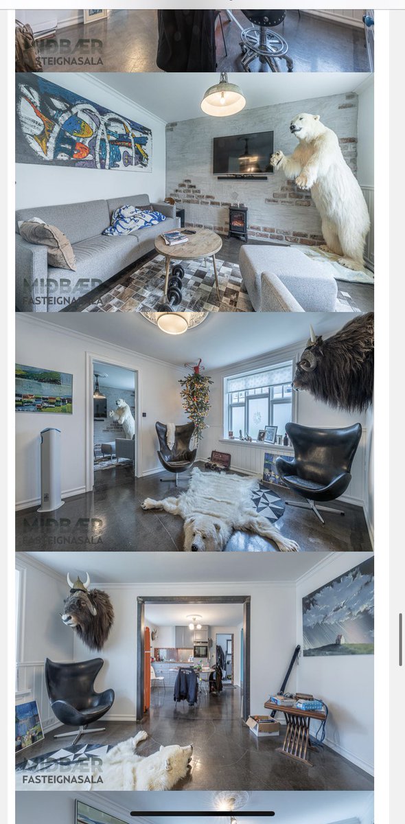 Viktoría Hermannsdóttir tweet media