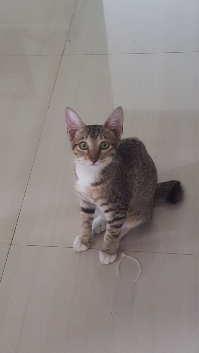 yneeynee's tweet photo. What do you looking at ? https://t.co/e73BXnv32S