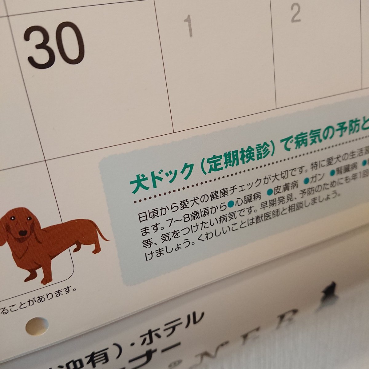 キャプテン バギー Buggy The Clown Pa Twitter 同棲相手は親父の2号 今はフリーのワケあり ニイハオ もちろんね 今どきの人は知らへんで ぱるちゃんの歳バレるな笑