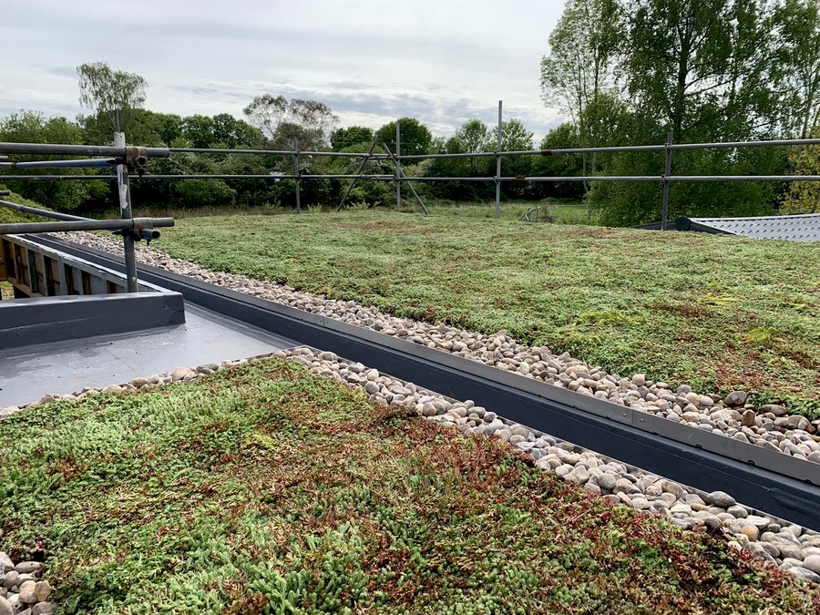 🌱#GREENROOF #FACTFRIDAY! 🌱
DID YOU KNOW that a green roof covers the membrane of the roof and therefore prevents deterioration caused by UV rays. Studies have shown that a roof can last up to THREE TIMES LONGER than a standard exposed roof!
#roofing #waterproofing