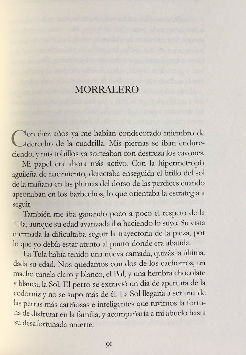 librosdecaza's tweet photo. #librosdecaza «Campos y perdices», escrito e ilustrado maravillosamente por Gerardo Martínez Garcia, y publicado en 2020 en colaboración con @Vicenteamatcaza. 40 años de recuerdos cazando en mano, con anécdotas y consejos muy valiosos https://t.co/4i9Zbk4twq