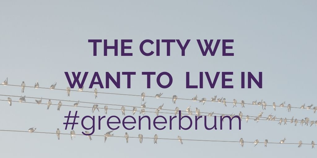 Last year Greener Birmingham consulted the people of Birmingham on the local environmental issues that matter most to them in the Big Green Conversation. 88% of respondents believed  @BhamCityCouncil should prioritise the environment over the next 5 years https://www.greenerbirmingham.com/a-peoples-manifesto-for-birmingham