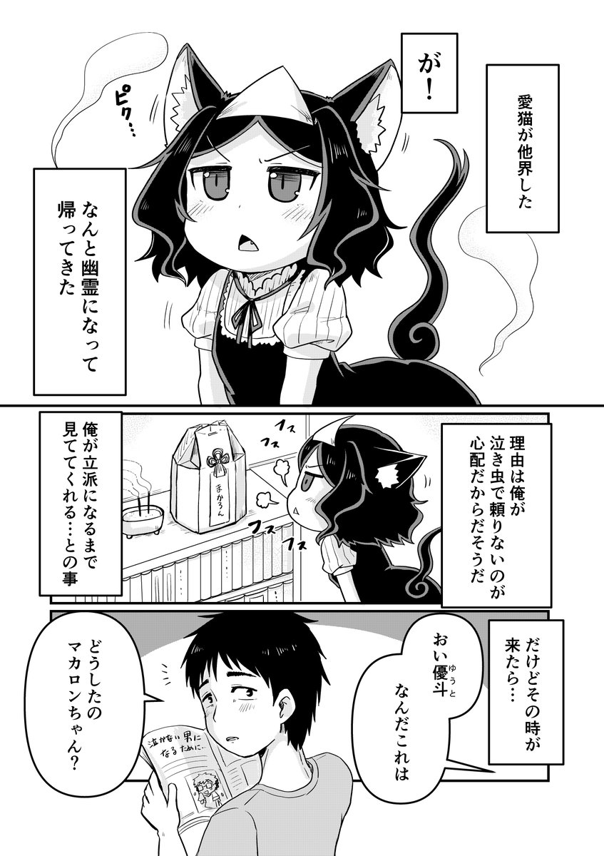 愛猫が幽霊になったらめっちゃしゃべるし口が悪い
【第2話】

#創作漫画
#漫画が読めるハッシュタグ 