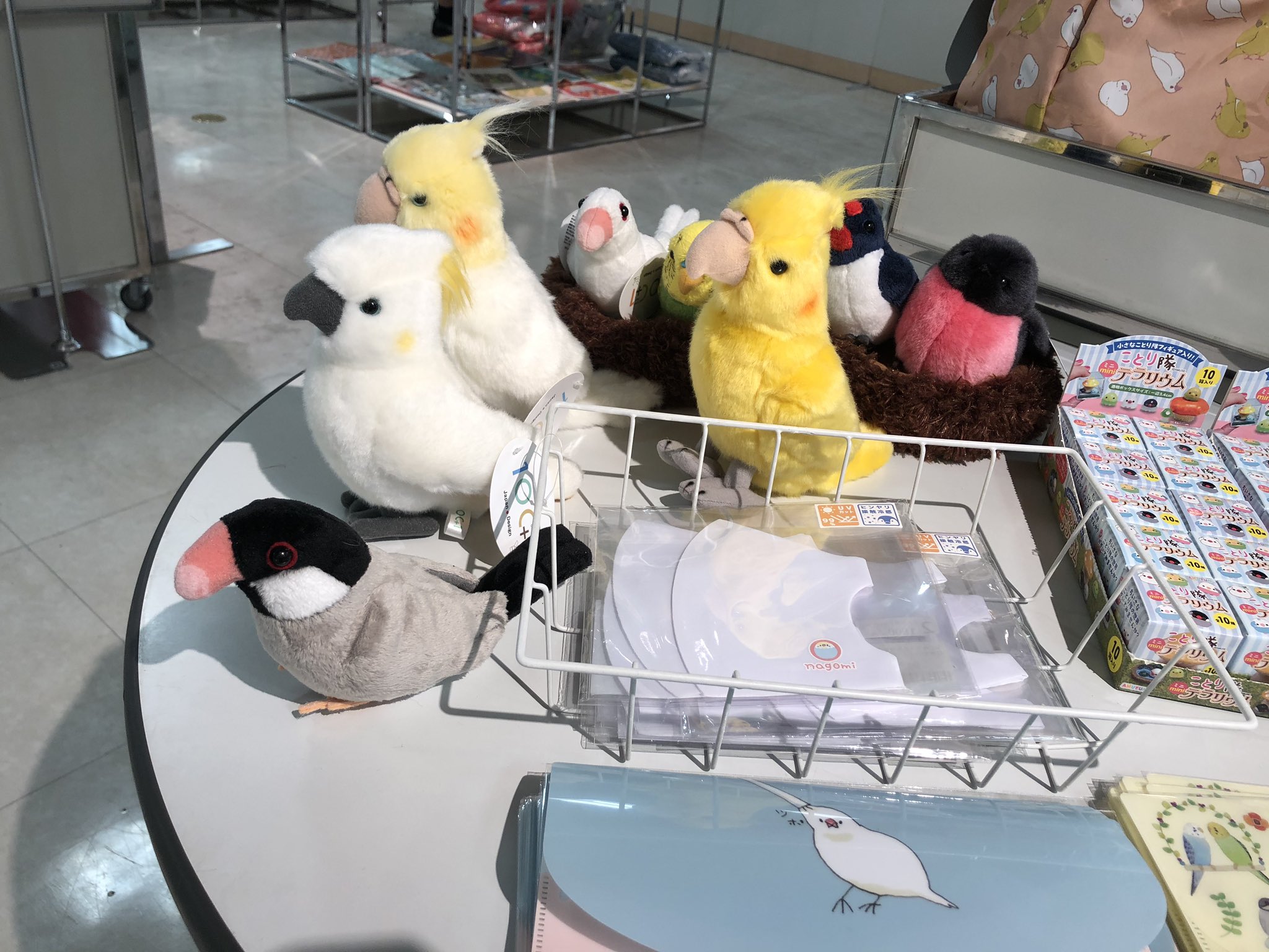 太洋産業貿易 No Twitter 東武宇都宮百貨店 さん5fイベントプラザにて ことりサミット 開催中です 9 15 火 までですので お早めに 宇都宮 アオアシカツオドリ セイキチョウ シマエナガ スズメ ワンオーワン ことりカフェ T Co 5tdfnhbjzd Twitter