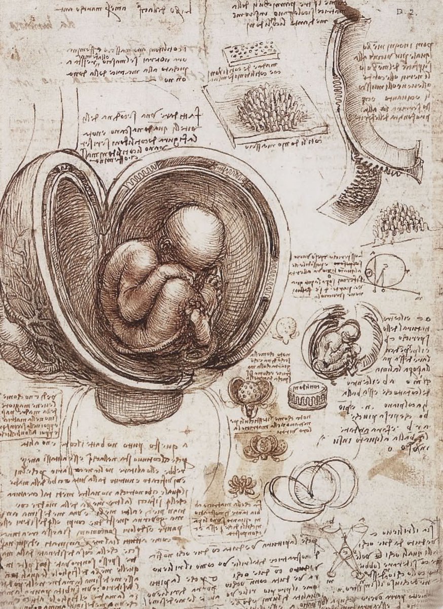 Leonardo da Vinci,was obsessed with observing and understanding phenomena in nature, from the proportions of the human body to how the muscles of the lips moved. his curiosity-driven explorations, and ability to connect art and science, helped him innovate in his work. 3/.