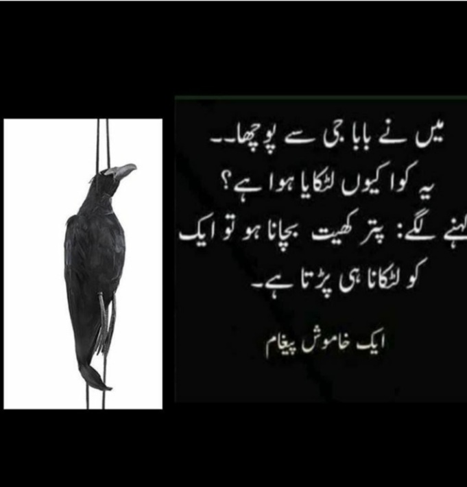 Sattiwan1's tweet photo. #PublicHangingOfRapists 
#RapistStonnedToDeath https://t.co/9u9HOOQUFn