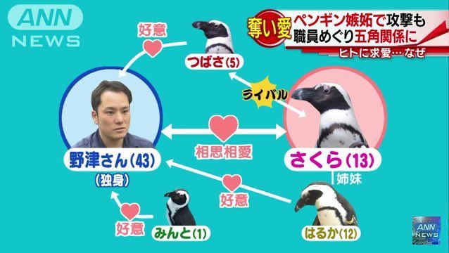 2ちゃんねる迷言集 12 風吹けば名無し 19 01 12 土 22 13 46 38 Id Ksjo93 P0 ペンギンが殺されてるの好きだわ なんか人生楽そうだからにくい 24 風吹けば名無し 19 01 12 土 22 15 40 09 Id W 1iamvi0 12 ペンギン嫉妬民は草