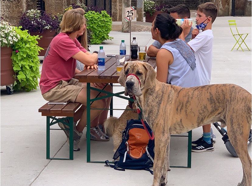 DowntownWS tweet media