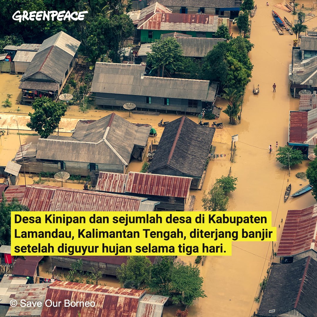BANJIRRRR!!! Tahun ini sudah kedua kalinya Kinipan dan beberapa desa di Kabupaten Lamandau, Kalimantan Tengah, diterjang banjir. Sungai Batang Kawa meluap setelah tiga hari belakangan wilayahnya dilanda hujan lebat.

#savekinipan #hutanadat