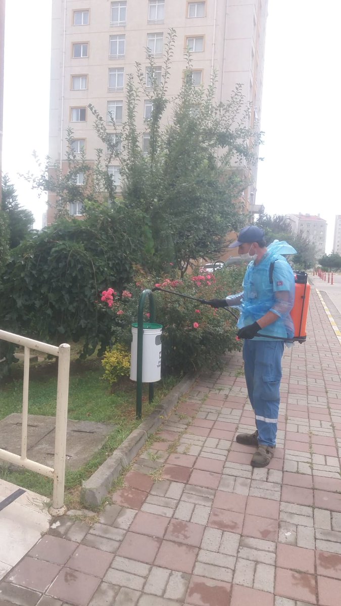 C45-46-47 ve C48 bloklar dan sonra, B1-60-61-62 ve B1-63 bloklarda da dip köşe dezenfekte yapıldı.
<a href="/EmlakYonetim/">Emlak Yönetim A.Ş.</a> @ozkanozt36k
@hkarakas6161 <a href="/AytekinKirec/">AYTEKİN KİREÇ</a>