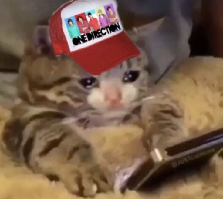 L0VEROFMINE's tweet image. sono passati 50 giorni dal 23 luglio...
#OneDirection #10YearsOfOneDirection